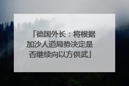 德国外长：将根据加沙人道局势决定是否继续向以方供武